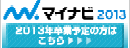 2013�N�V���̗p