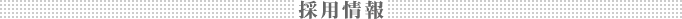 �̗p���